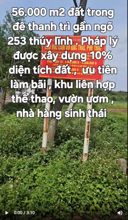 Cho thuê đất Trần Phú, Hoàng Mai, 52000m2, thích hợp làm bãi tập kết vật tư, diện tích lớn